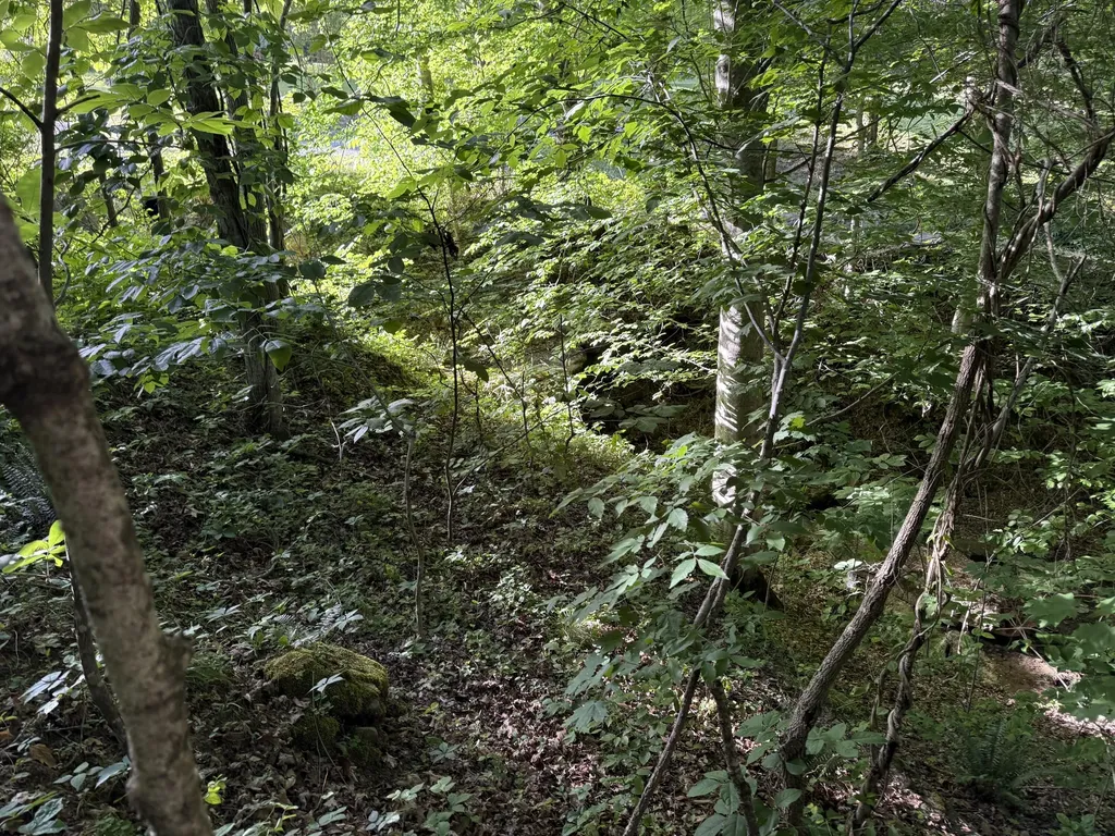 0 Kendall Road Leitchfield KY 42754