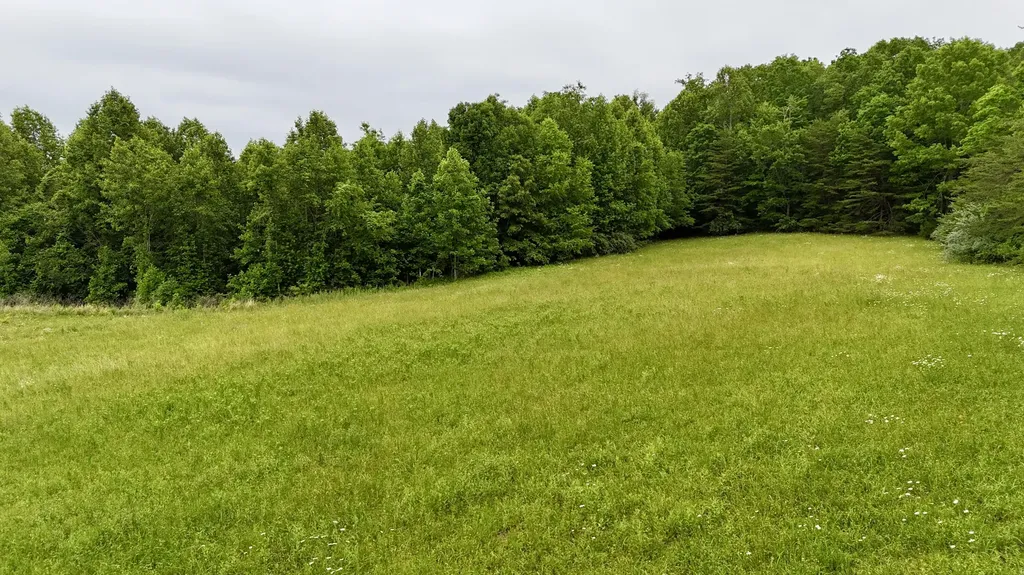 9999 Auger Springs Road Corbin KY 40701