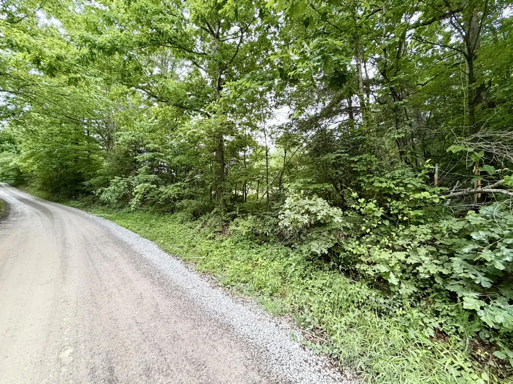 9999 Auger Springs Road Corbin KY 40701
