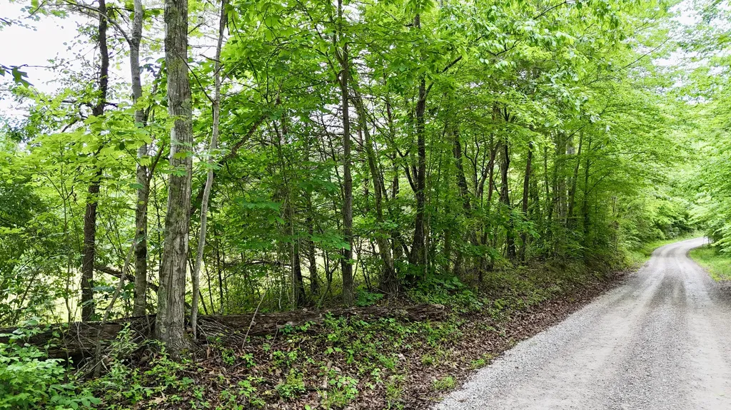 9999 Auger Springs Road Corbin KY 40701