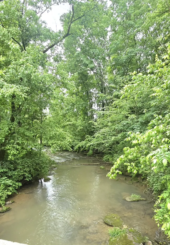 340 Hyden Lane Somerset KY 42501