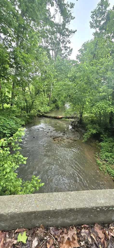 340 Hyden Lane Somerset KY 42501