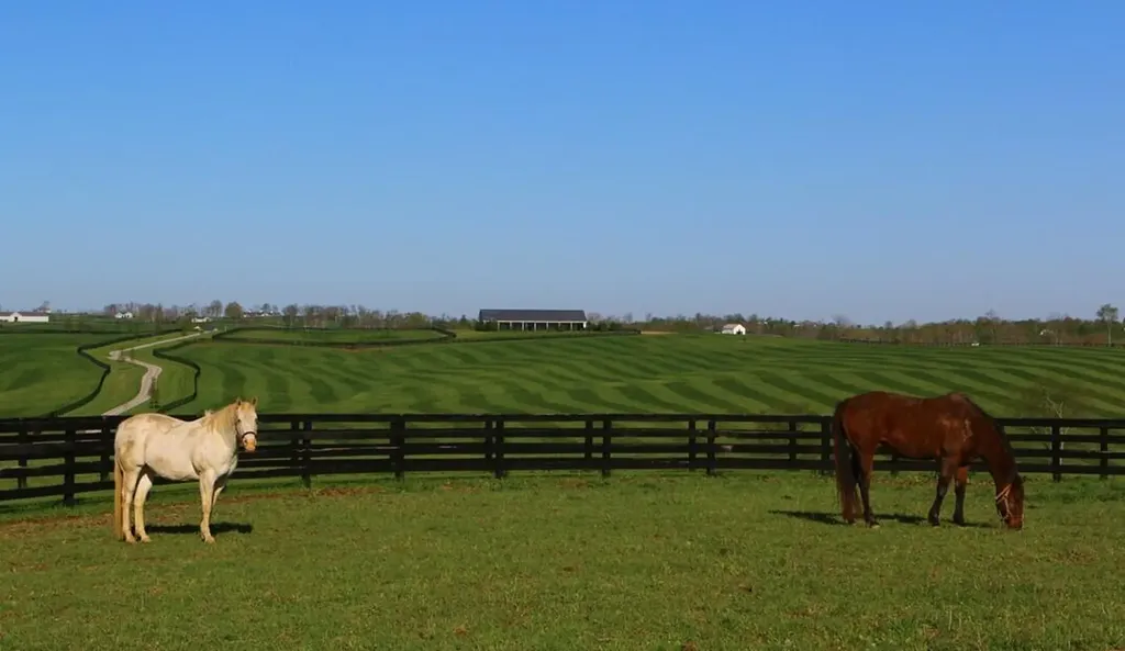 1455 Cane Ridge Road Paris KY 40361