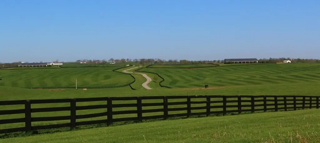 1455 Cane Ridge Road Paris KY 40361