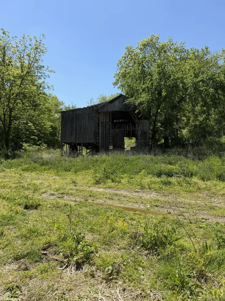 1050 Burgin Road Lawrenceburg KY 40342