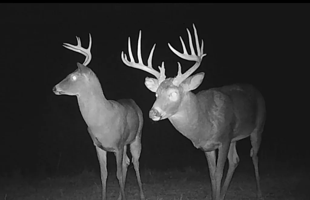 1050 Burgin Road Lawrenceburg KY 40342