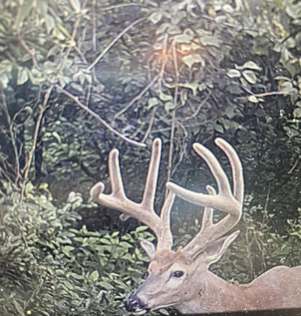 1050 Burgin Road Lawrenceburg KY 40342