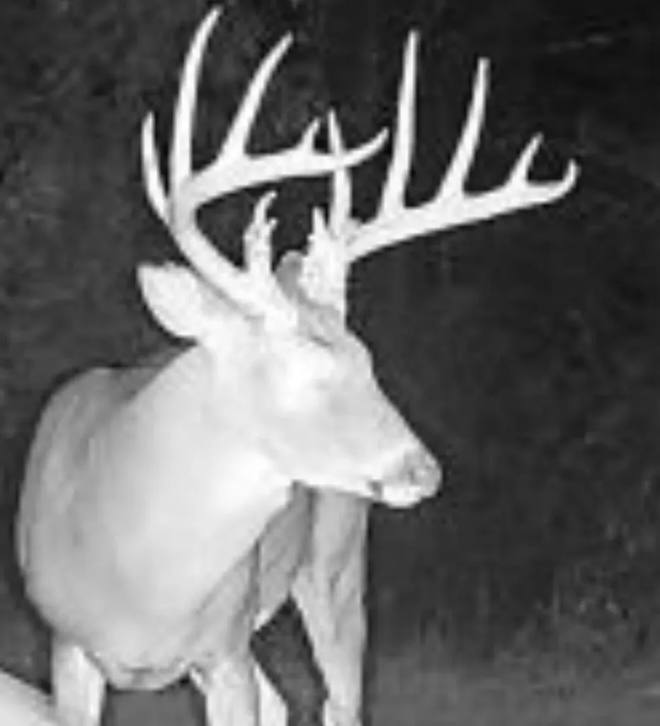 1050 Burgin Road Lawrenceburg KY 40342