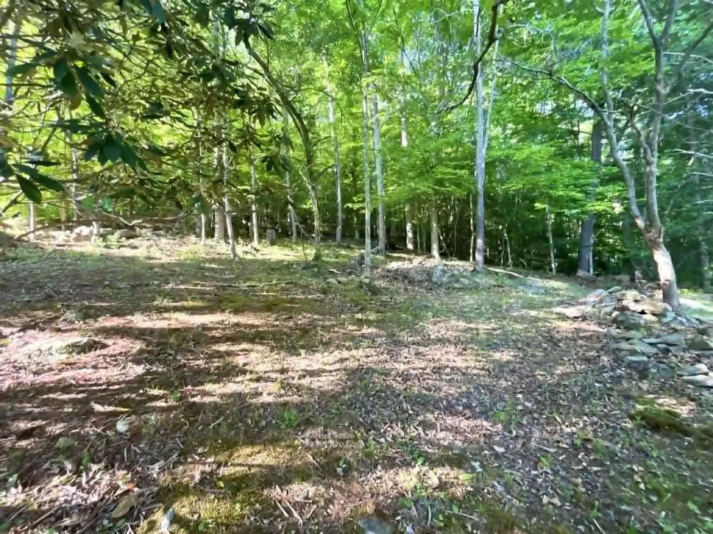 744 Woodland Hills Harlan KY 40831