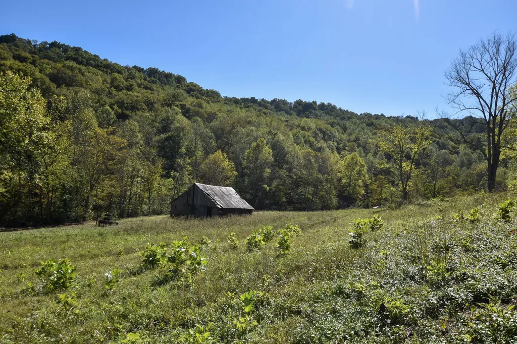 601 Hackworth Hollow Road Vanceburg KY 41179