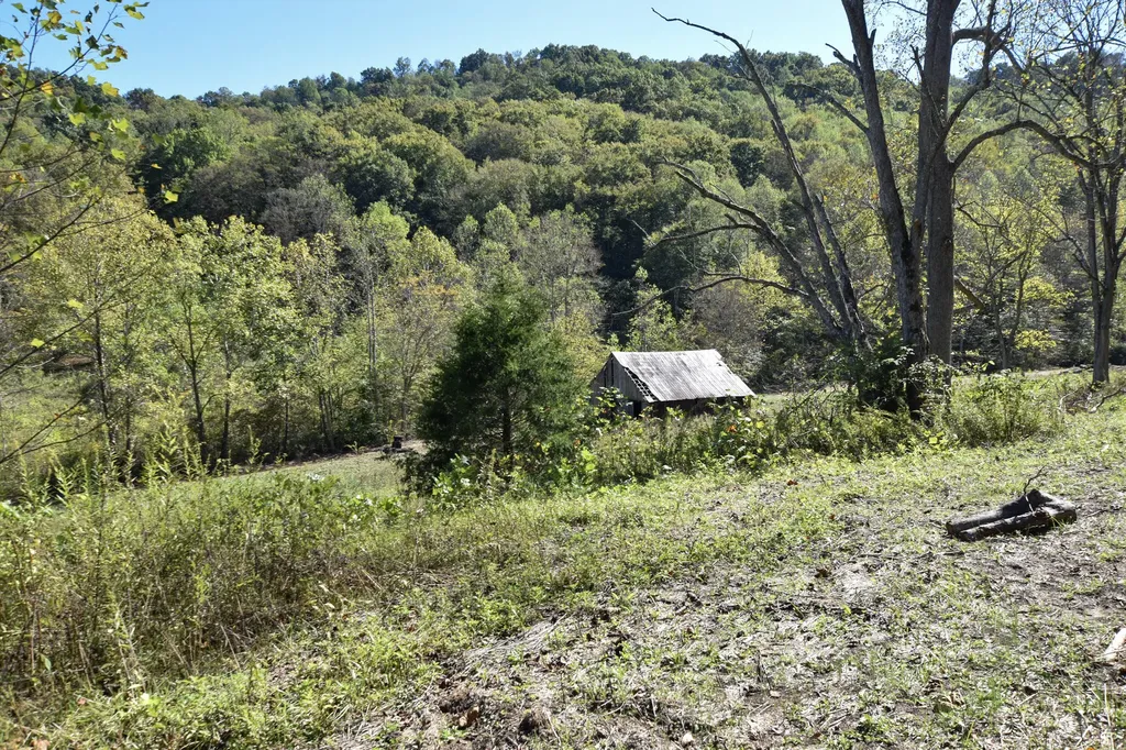 601 Hackworth Hollow Road Vanceburg KY 41179