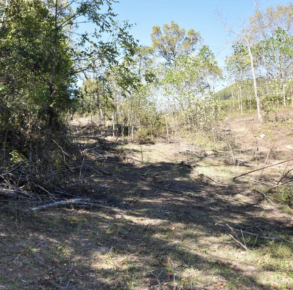 601 Hackworth Hollow Road Vanceburg KY 41179