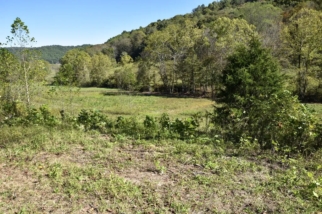 601 Hackworth Hollow Road Vanceburg KY 41179