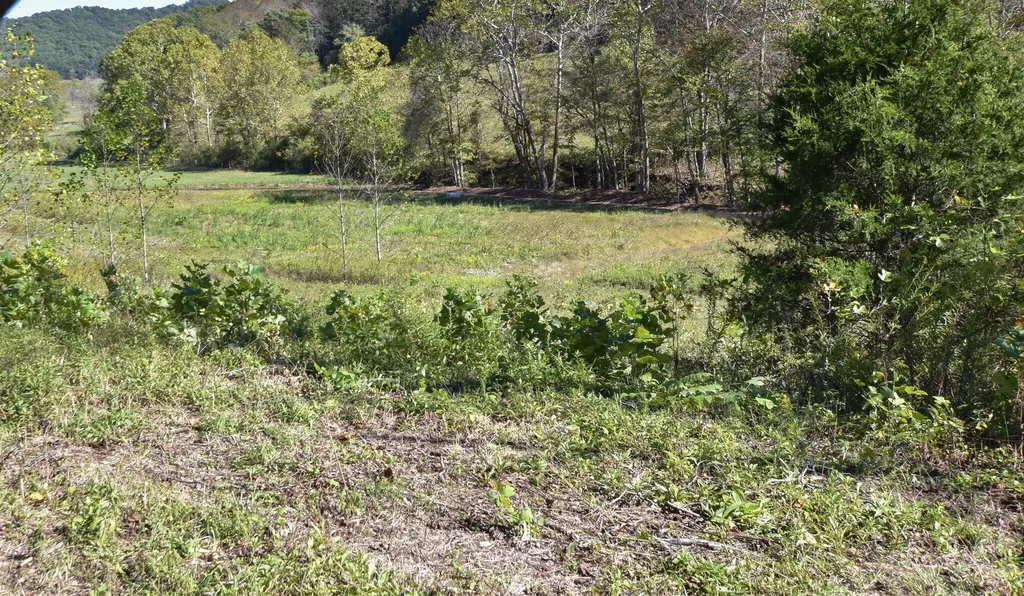 601 Hackworth Hollow Road Vanceburg KY 41179