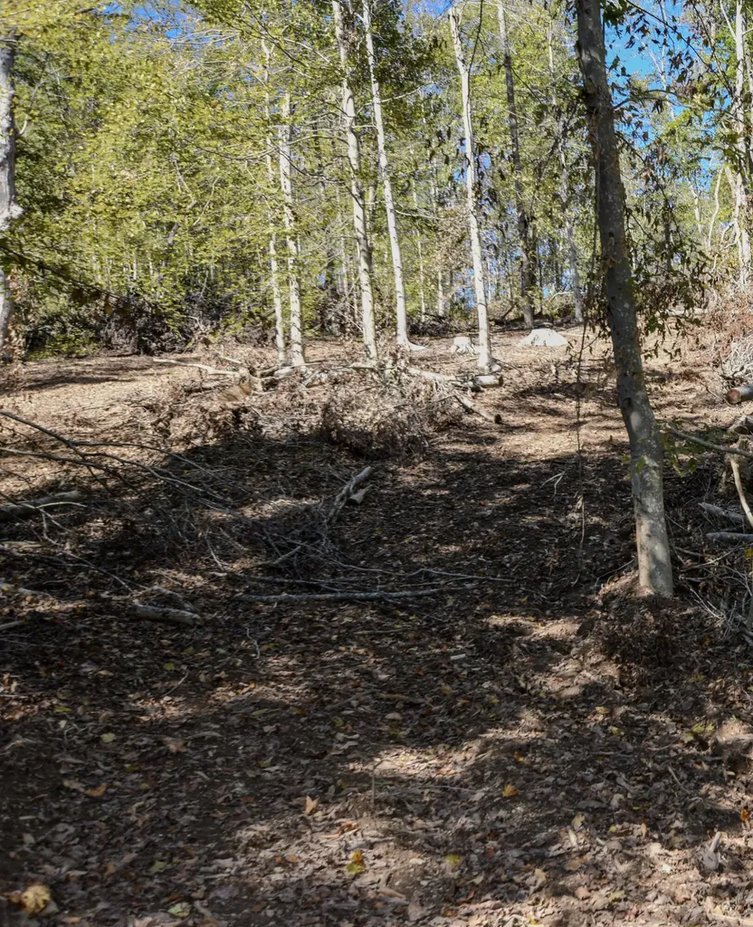 601 Hackworth Hollow Road Vanceburg KY 41179