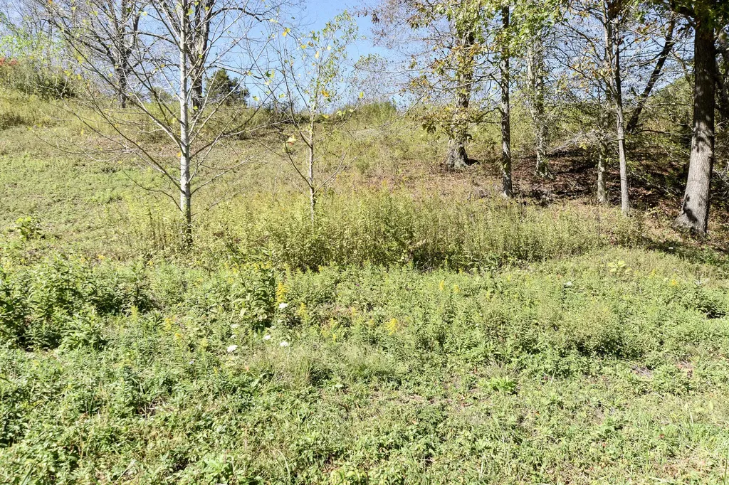 601 Hackworth Hollow Road Vanceburg KY 41179