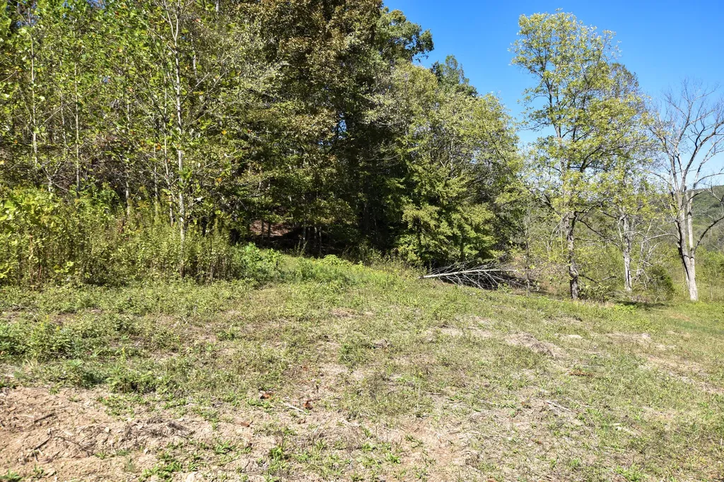 601 Hackworth Hollow Road Vanceburg KY 41179