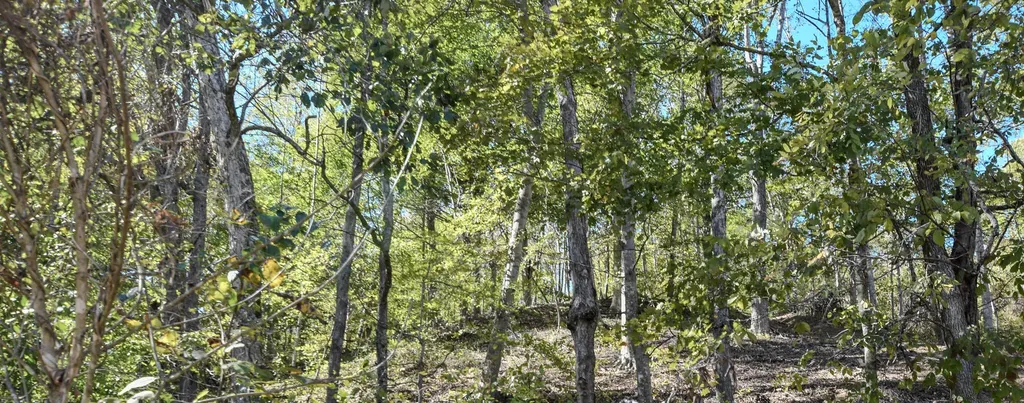 601 Hackworth Hollow Road Vanceburg KY 41179