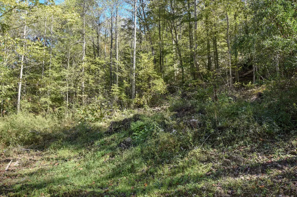 601 Hackworth Hollow Road Vanceburg KY 41179