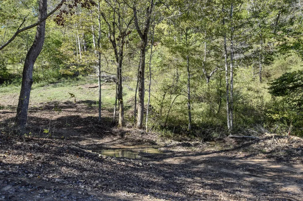 601 Hackworth Hollow Road Vanceburg KY 41179