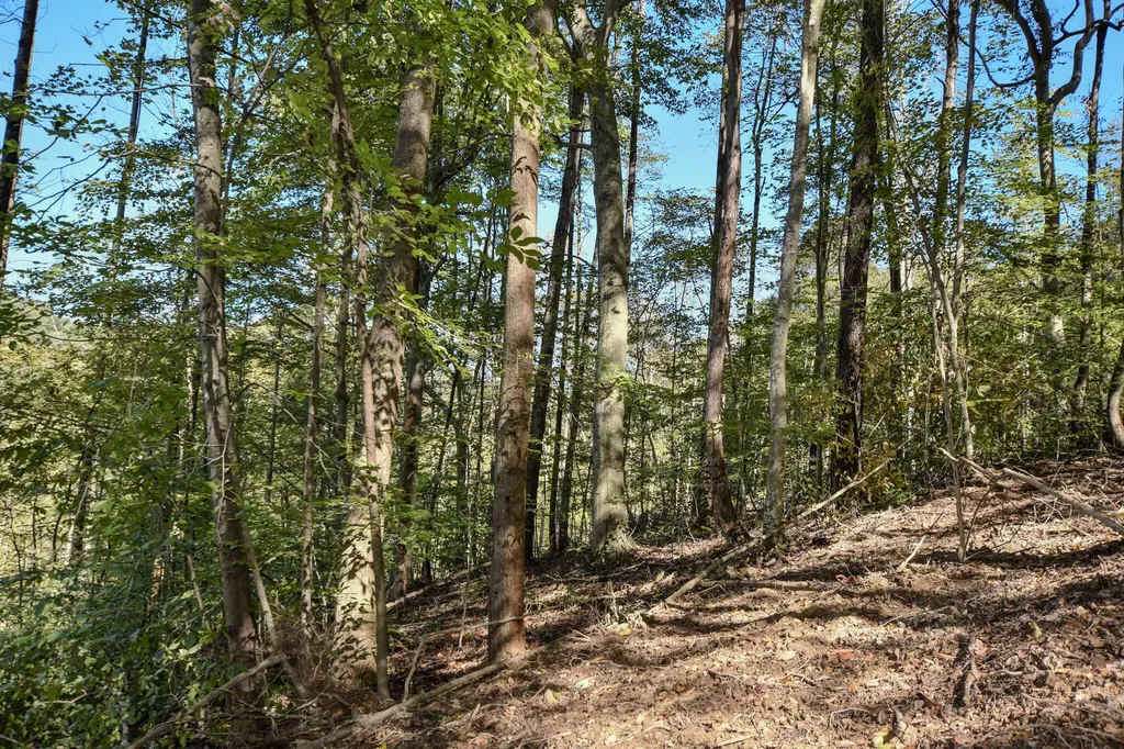 601 Hackworth Hollow Road Vanceburg KY 41179