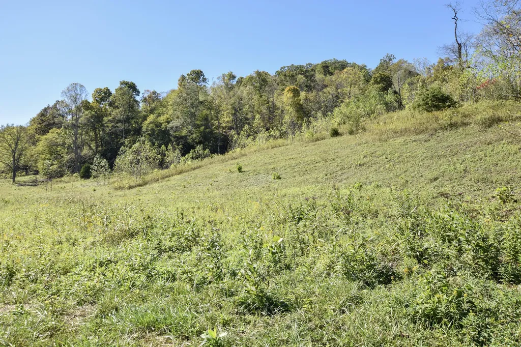 601 Hackworth Hollow Road Vanceburg KY 41179