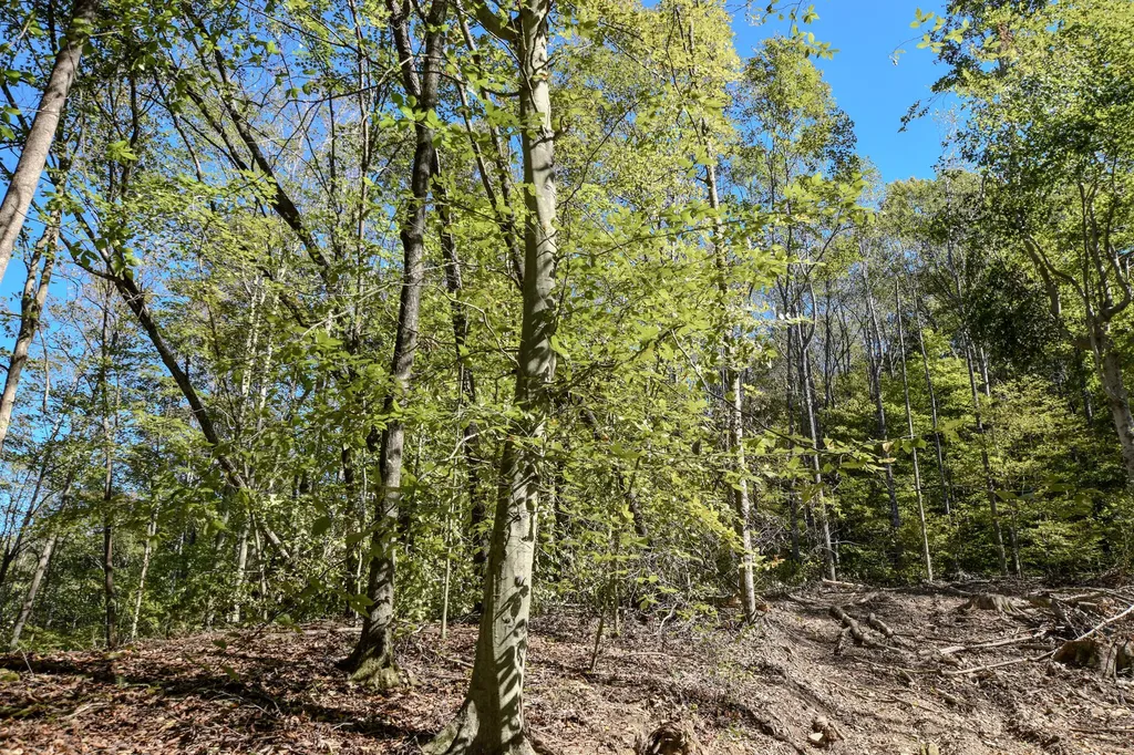 601 Hackworth Hollow Road Vanceburg KY 41179