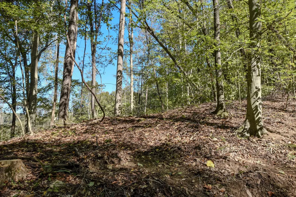 601 Hackworth Hollow Road Vanceburg KY 41179