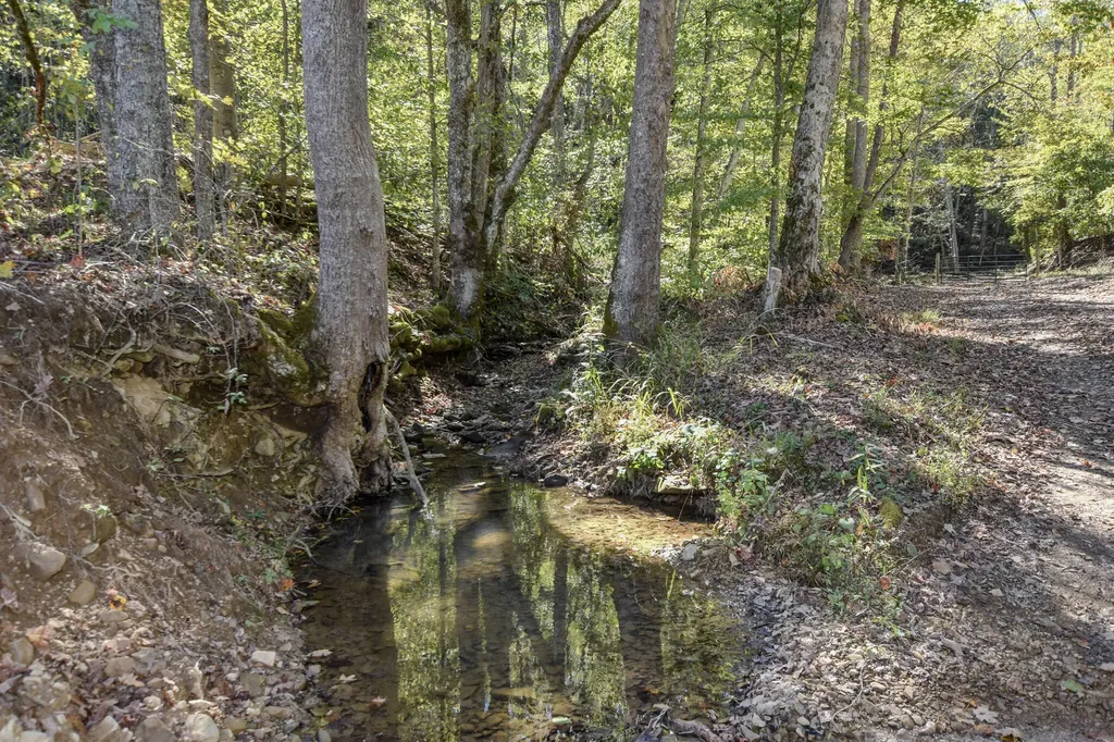 601 Hackworth Hollow Road Vanceburg KY 41179