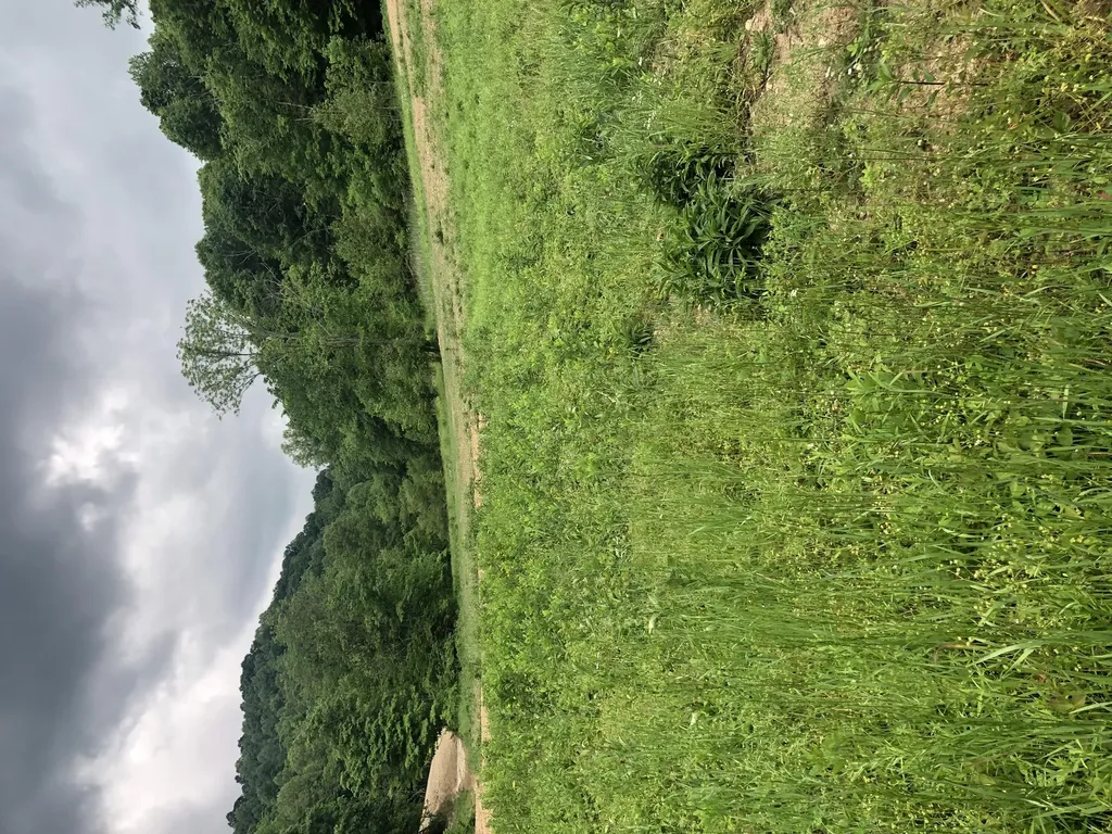 601 Hackworth Hollow Road Vanceburg KY 41179