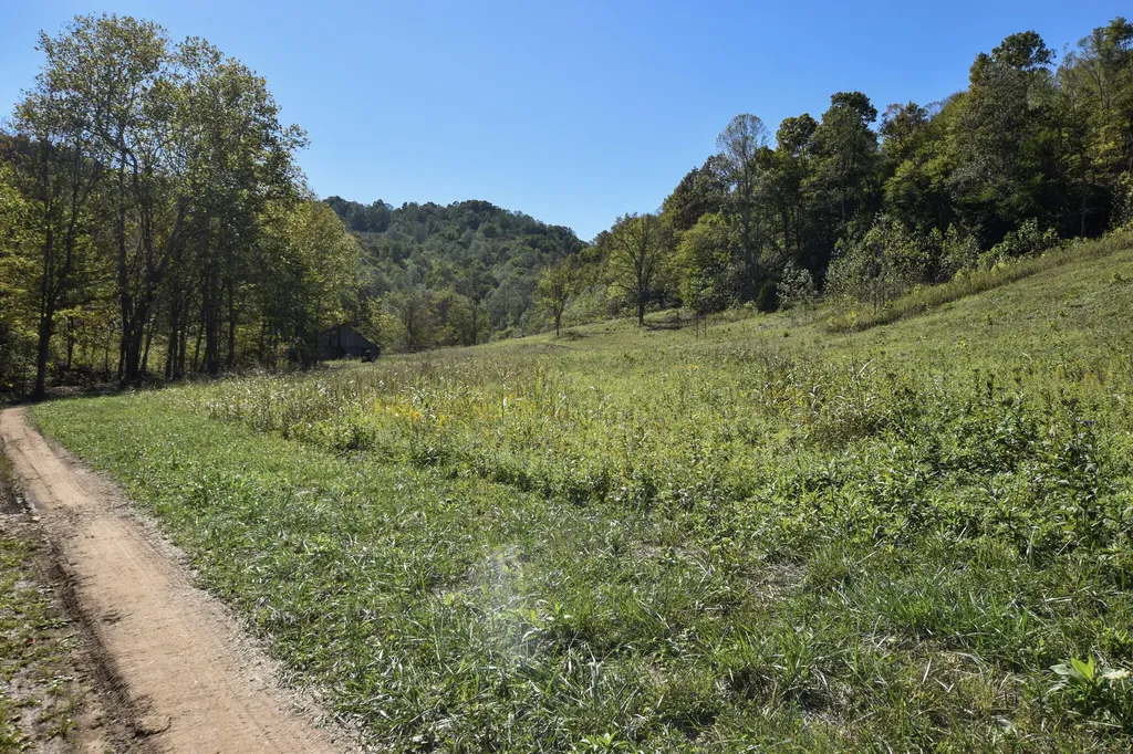 601 Hackworth Hollow Road Vanceburg KY 41179