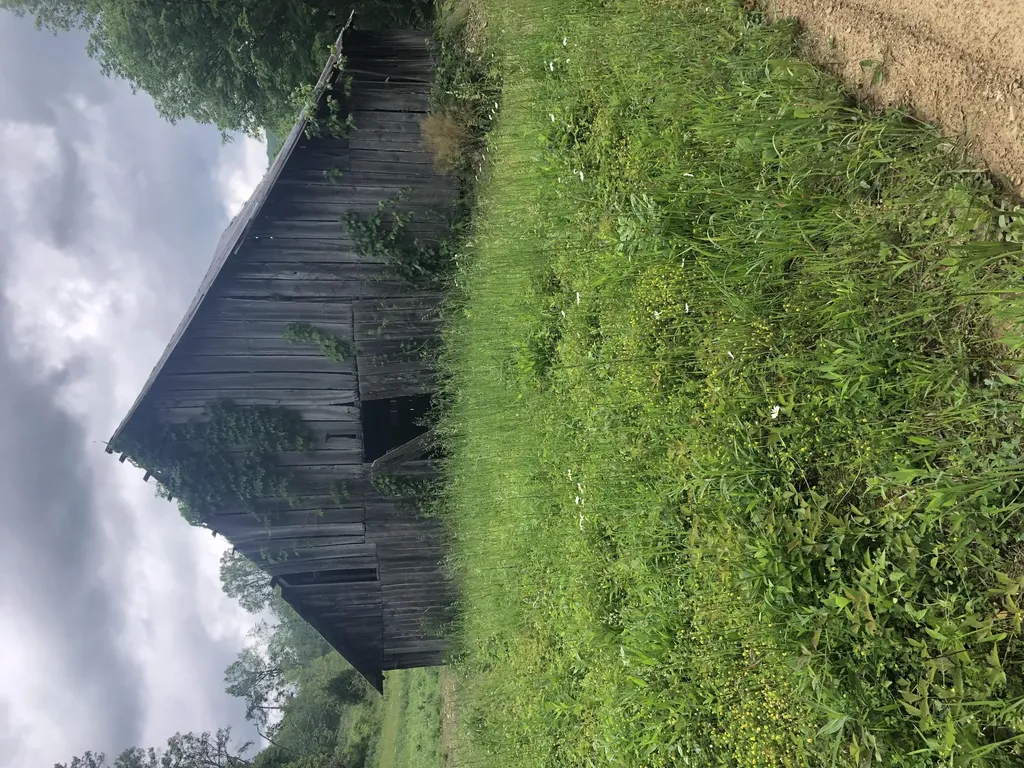 601 Hackworth Hollow Road Vanceburg KY 41179