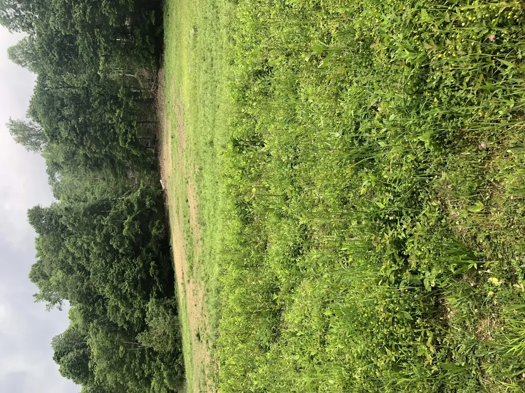 601 Hackworth Hollow Road Vanceburg KY 41179