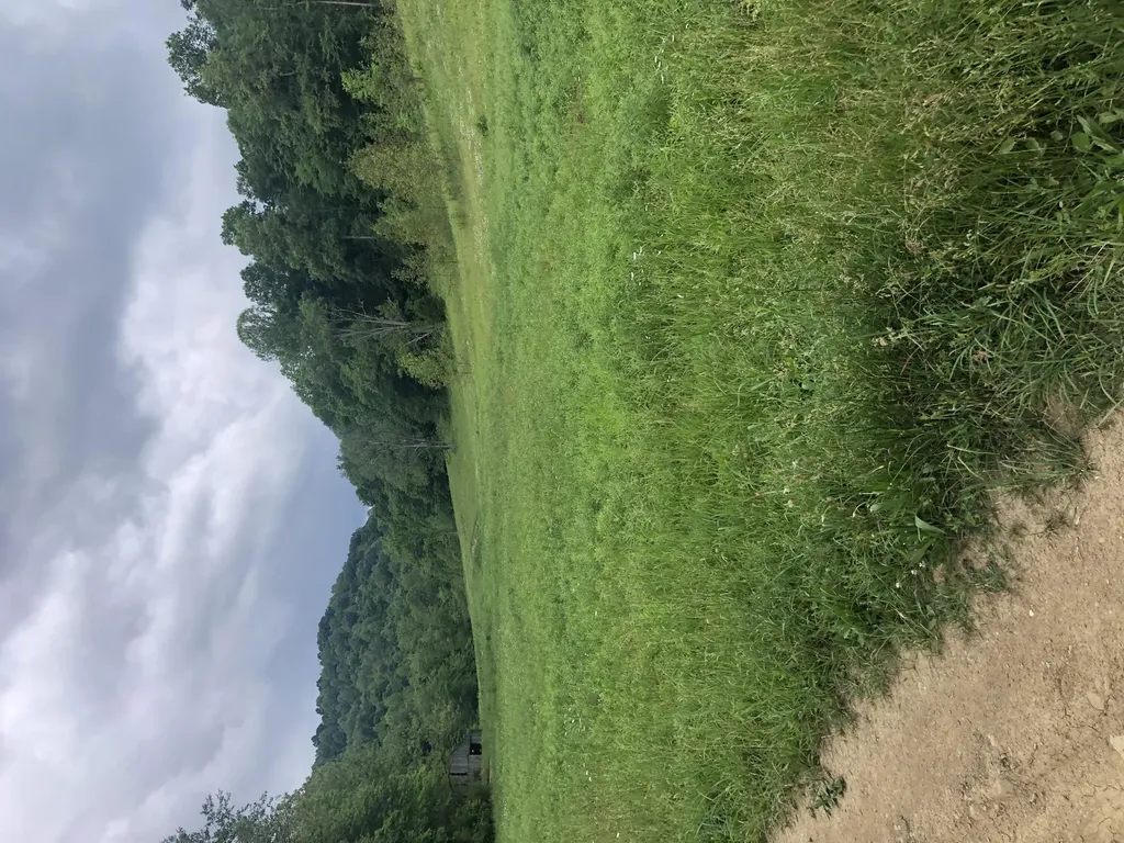 601 Hackworth Hollow Road Vanceburg KY 41179