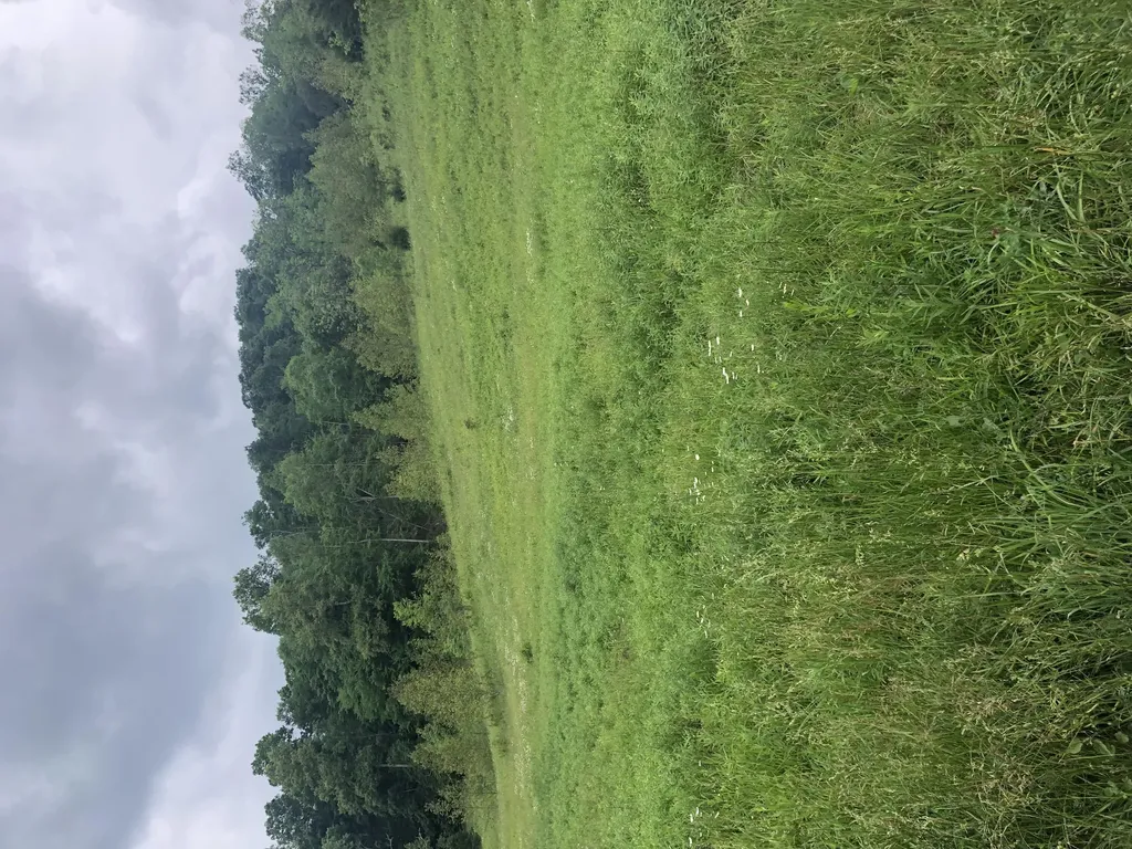 601 Hackworth Hollow Road Vanceburg KY 41179