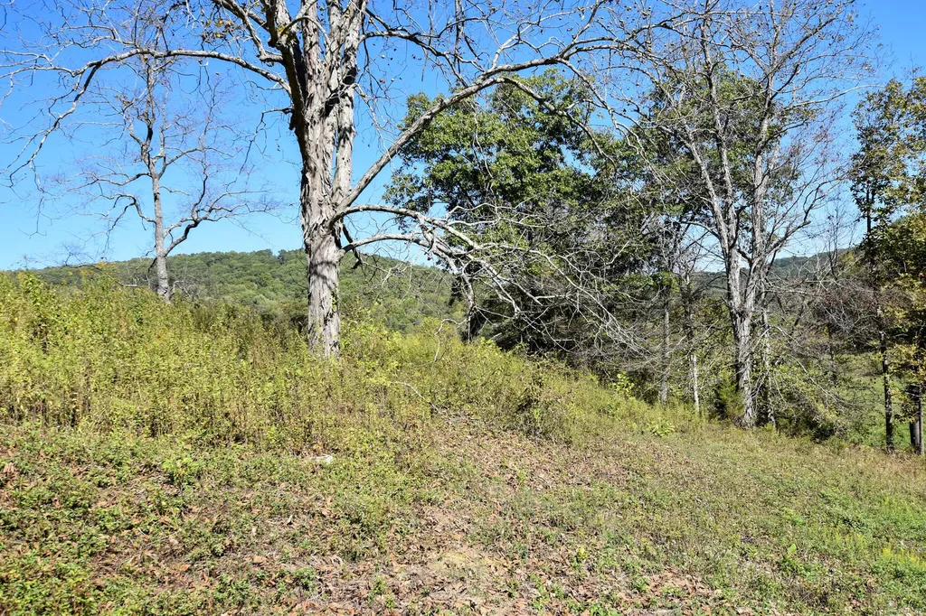 601 Hackworth Hollow Road Vanceburg KY 41179
