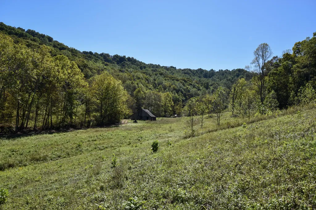 601 Hackworth Hollow Road Vanceburg KY 41179