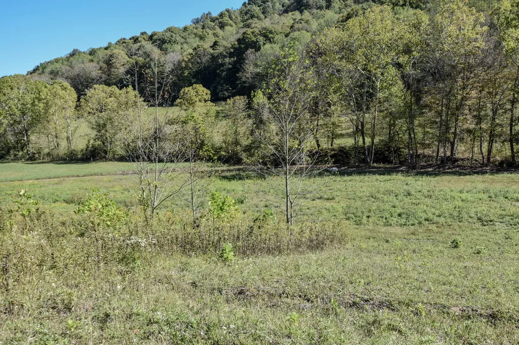 601 Hackworth Hollow Road Vanceburg KY 41179