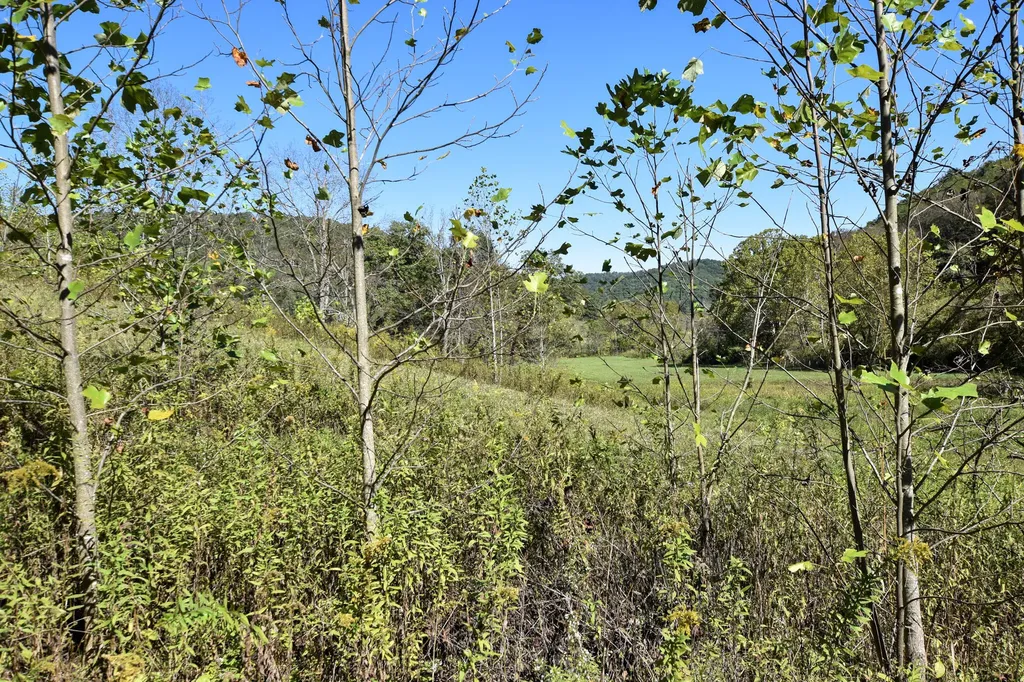 601 Hackworth Hollow Road Vanceburg KY 41179