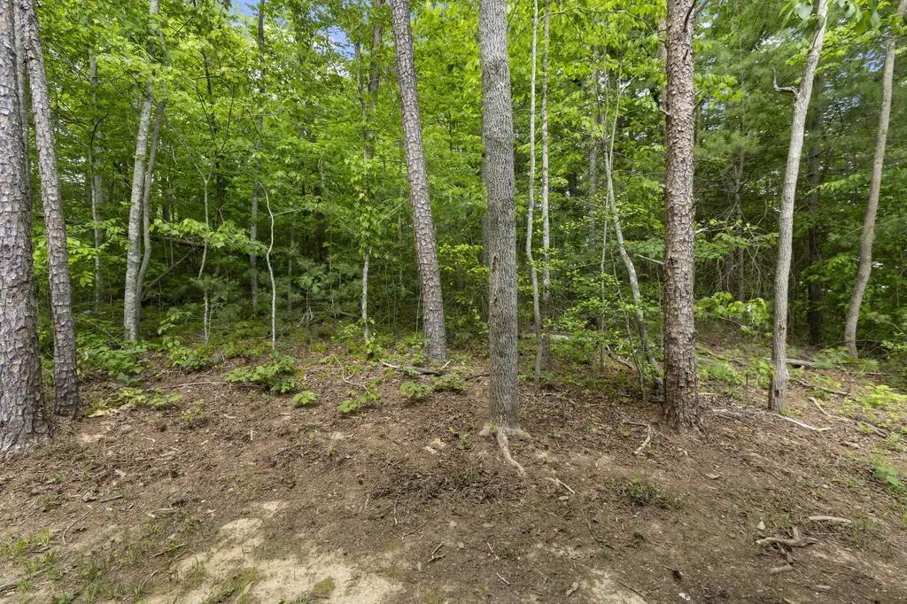 47 Wolfe Lake Spur Road Campton KY 41301