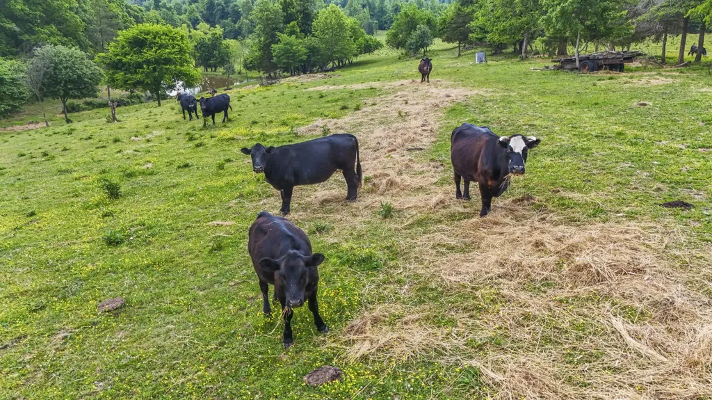12251 Climax Road Mckee KY 40447
