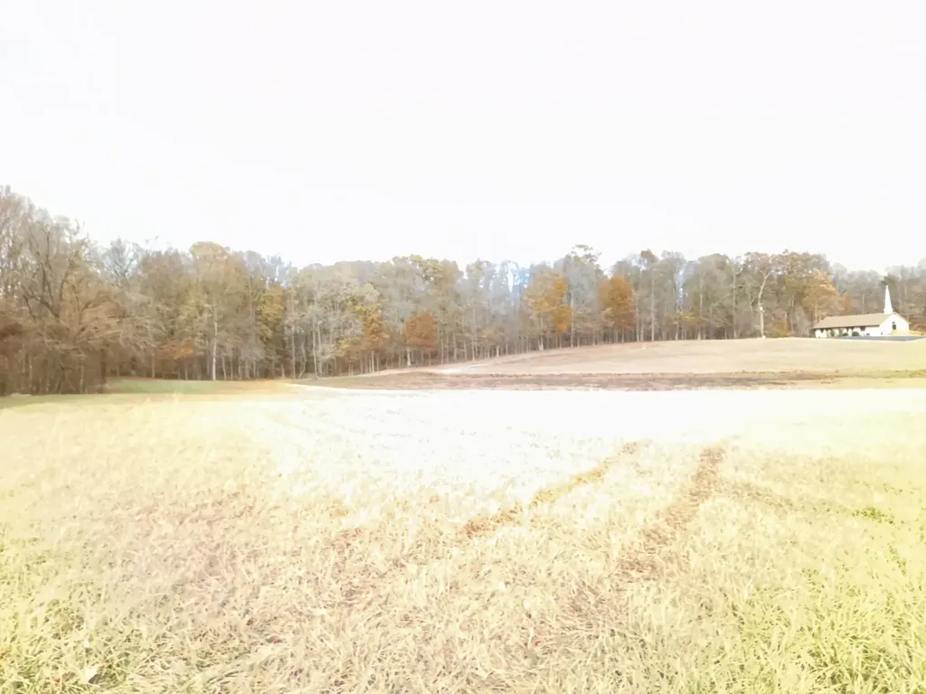 5 French Valley Court Russell Springs KY 42642