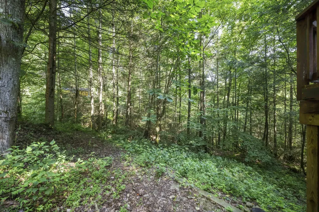 3556 Right Fork Fixer Road Zoe KY 41397