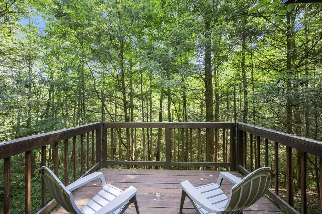 3556 Right Fork Fixer Road Zoe KY 41397