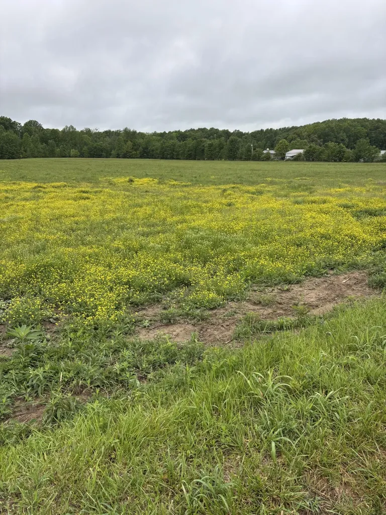 1075 Patterson Road Russell Springs KY 42642