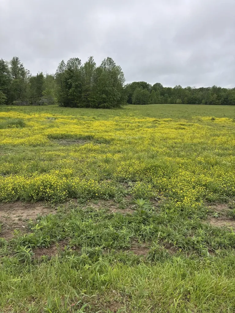 1075 Patterson Road Russell Springs KY 42642