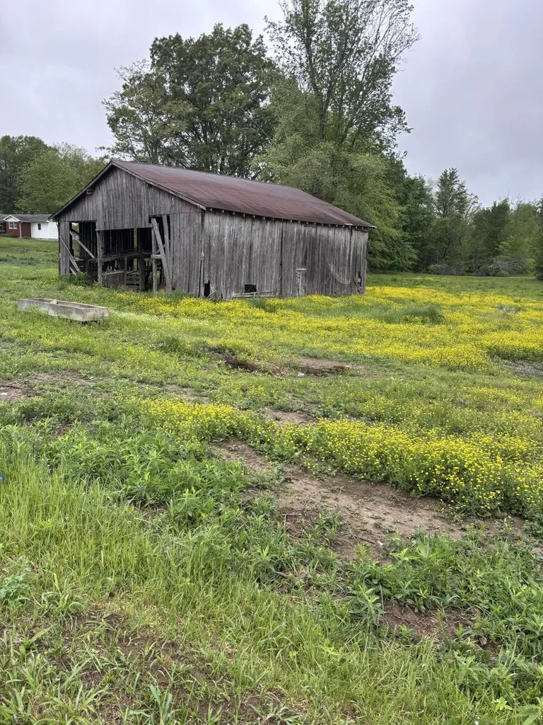 1075 Patterson Road Russell Springs KY 42642