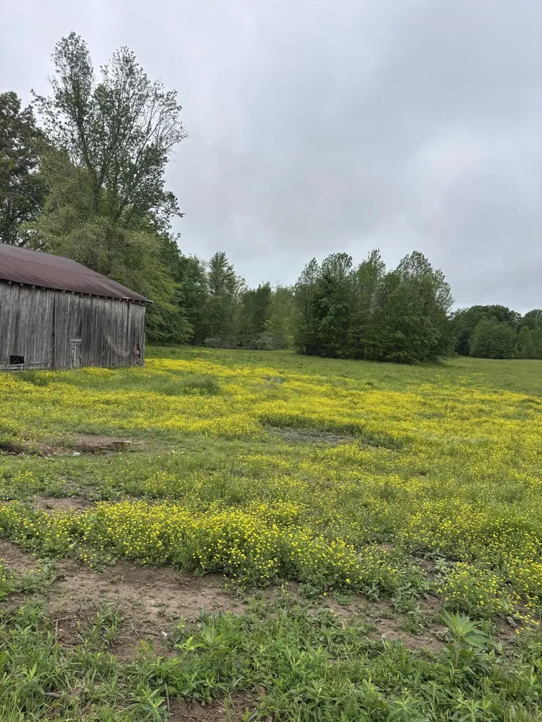 1075 Patterson Road Russell Springs KY 42642