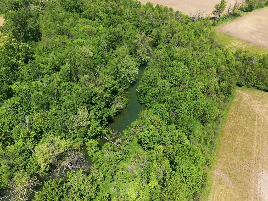 1010 Escondida Road Paris KY 40361