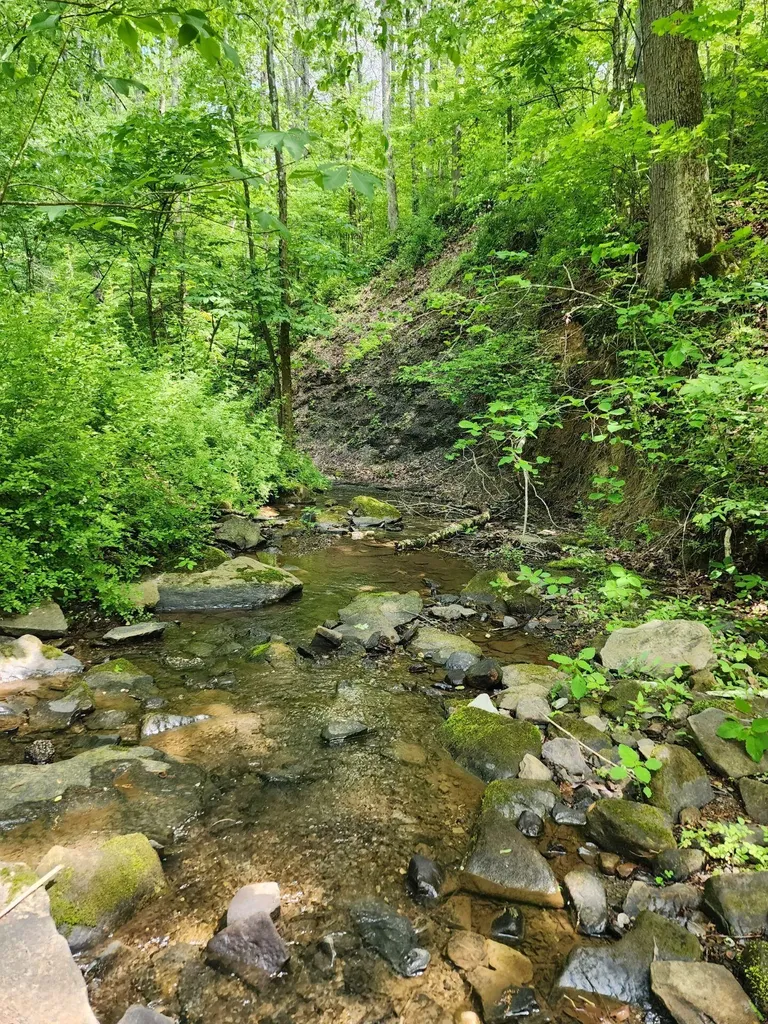 Tbd Mount Zion Church Road East Bernstadt KY 40729